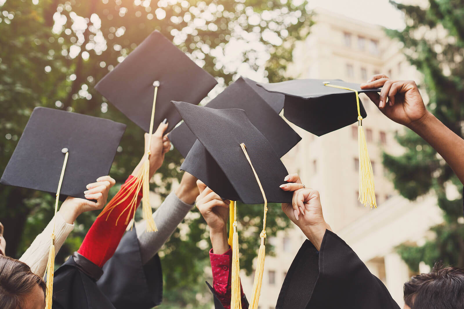 Lep Grad London Examinations Board Provides Online Education Worldwide